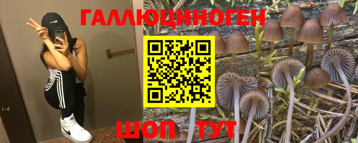 Галлюциногенные грибы мухоморы Кыштым